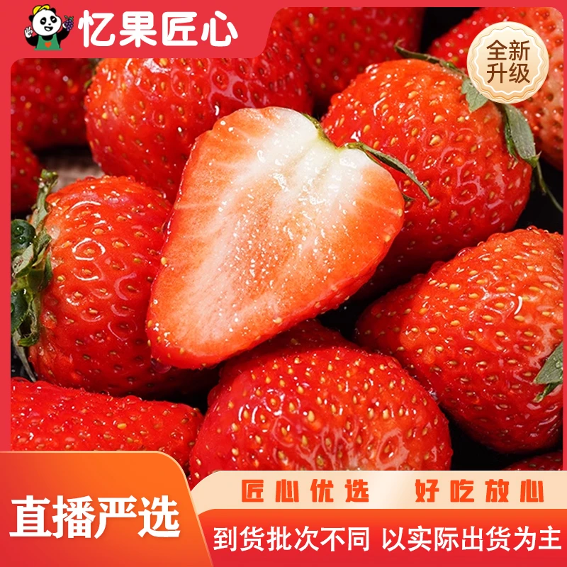 巧克力红颜草莓一份大果 约500g