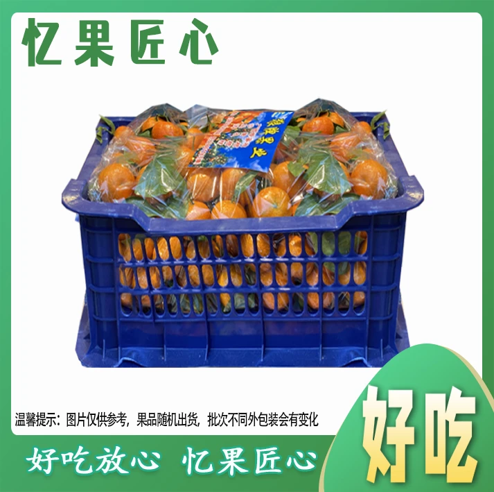 【女神节】A级砂糖橘一筐（约9斤）