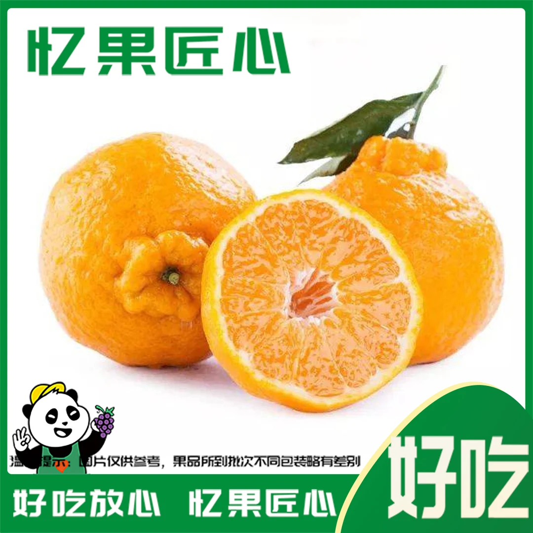 B级高山耙耙柑 一份500g