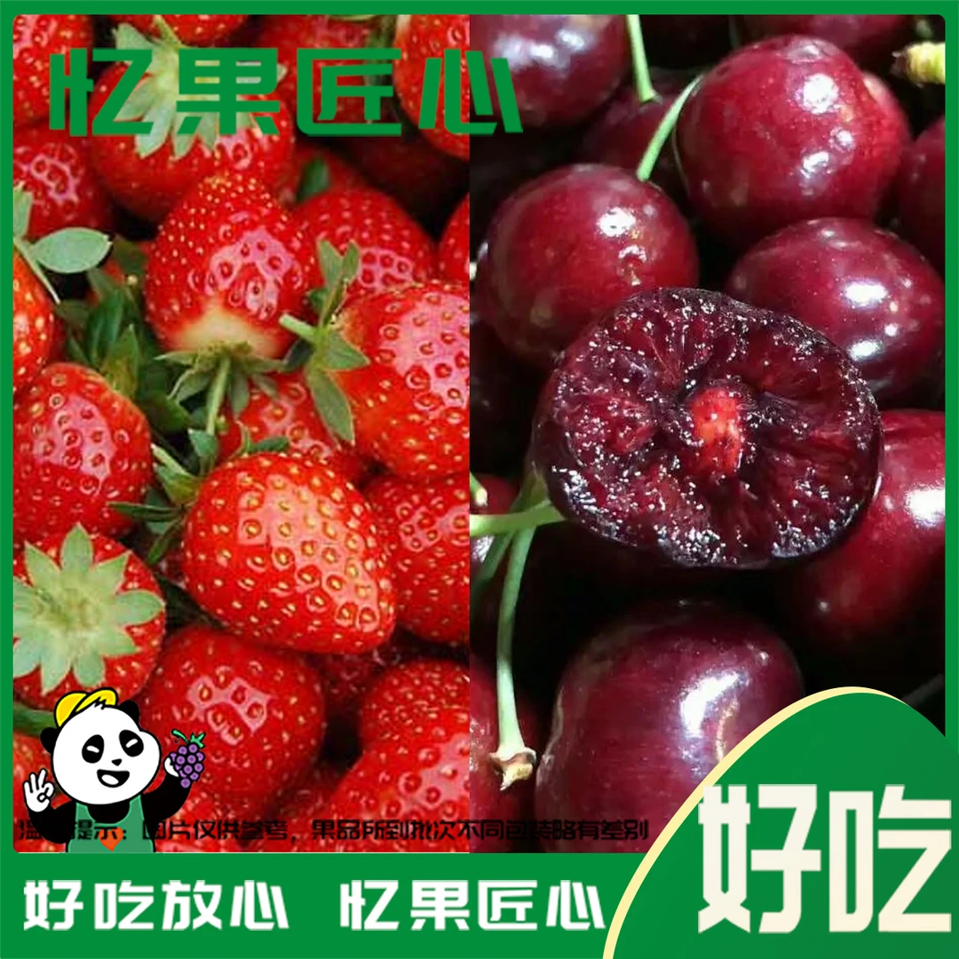 【莓厘组合500g】巧克力红颜+JD车厘子