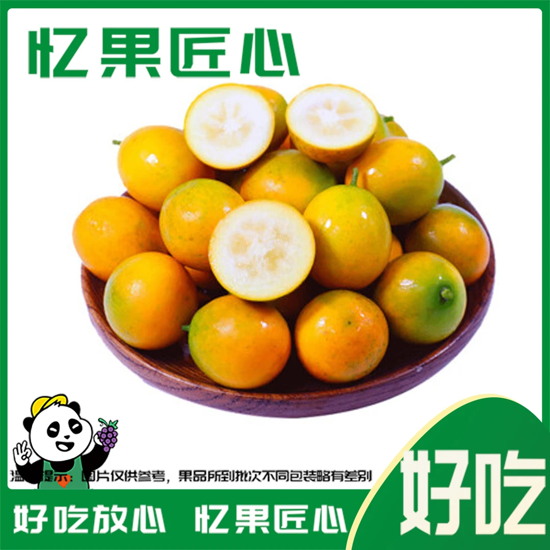 匠心级脆蜜金柑 1份230-250g