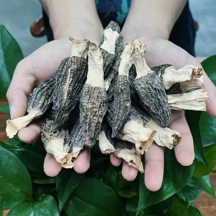 【干羊肚菌】沿河山区羊肚菌无硫熏自然风干