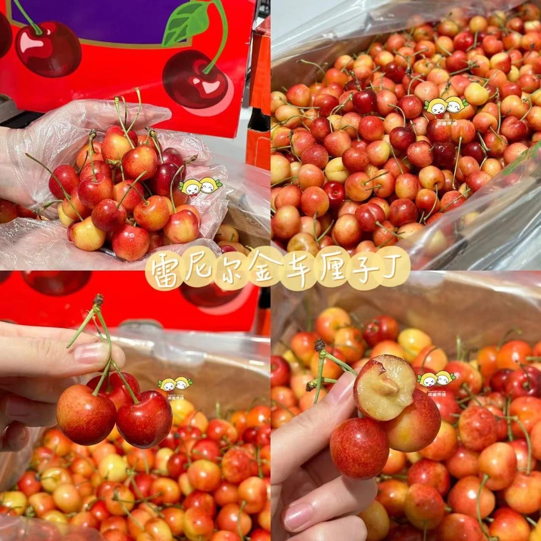 【闺蜜甄选】雷尼尔金车(1斤)