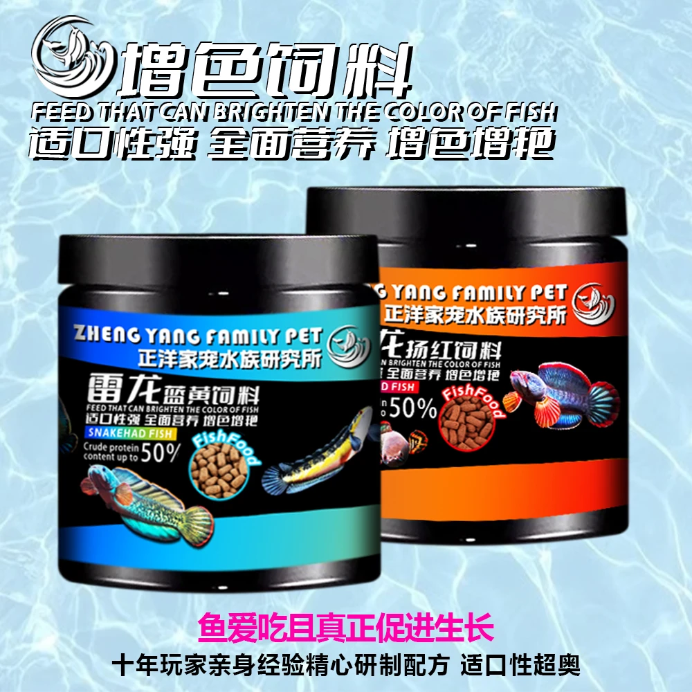 雷龙鱼专用饲料小颗粒促进成长营养高钙增帆有助发色配方蓝黄扬红