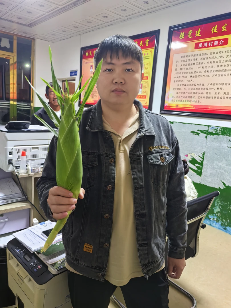 武宁县船滩镇甜玉米