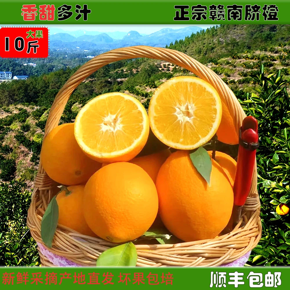 现摘新鲜正宗赣南脐橙10斤顺丰京东包邮当应季水果