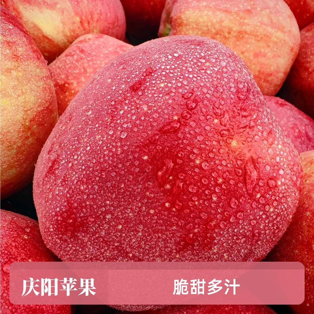 庆阳苹果果真好 产于黄土高原 昼夜温差大，口感脆甜多汁 精品大果