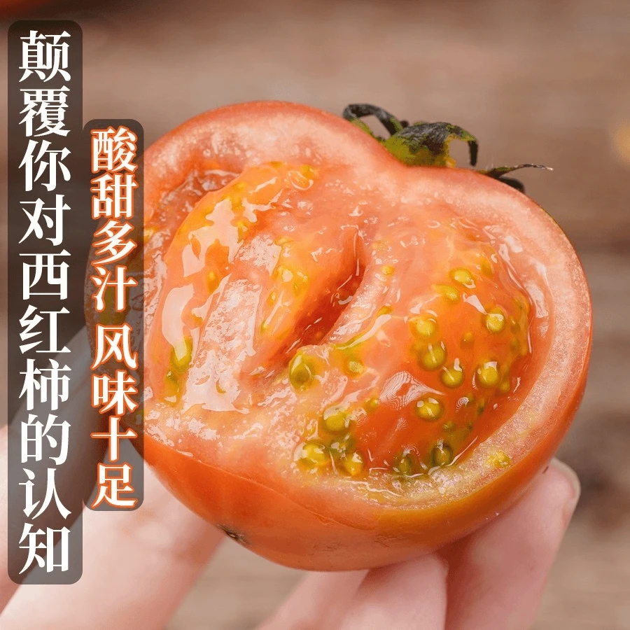 【猴瘦瘦农场】熊蜂授粉草莓西红柿（铁皮柿子）5 斤，无激素，自然熟。