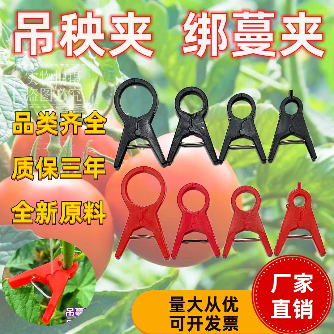 吊秧夹扶蔓夹绑蔓夹大棚蔬菜黄瓜西红柿豆角辣椒吊秧夹抗老化熟料