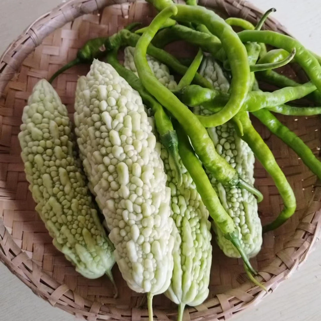 湖南农家自种白苦瓜珍珠苦瓜+线椒 现摘现发泡沫箱加冰袋发货3斤