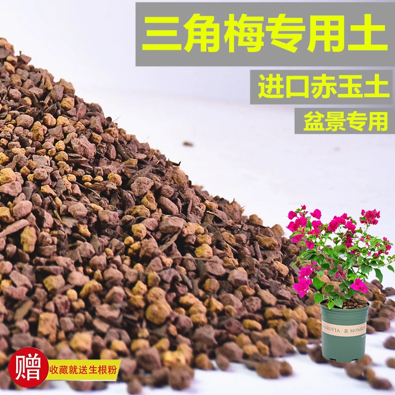 三角梅专用土赤玉土风化土盆景土营养土酸性土专用肥有机缓释玉肥