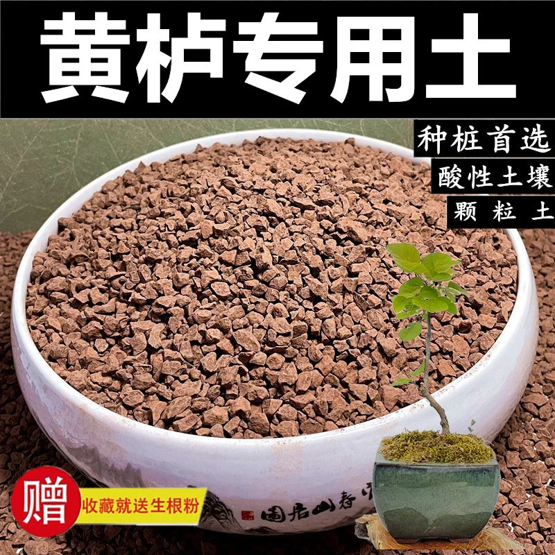 黄栌专用土风化土风化石盆景土颗粒土营养土种植红土酸性土赤玉土