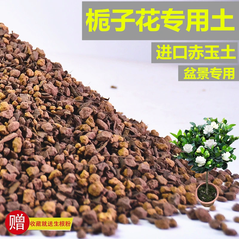 海岛栀子花专用土赤玉土风化土营养土酸性土专用肥有机缓释玉肥
