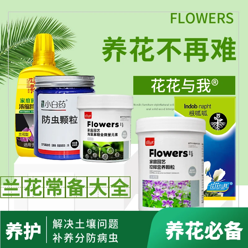 兰花防 虫C 虫养护套餐