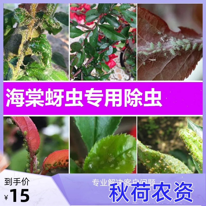 海棠蚜虫腻虫蜜虫杀虫剂套装啶虫脒粉剂复配增效杀虫花药剂送喷壶