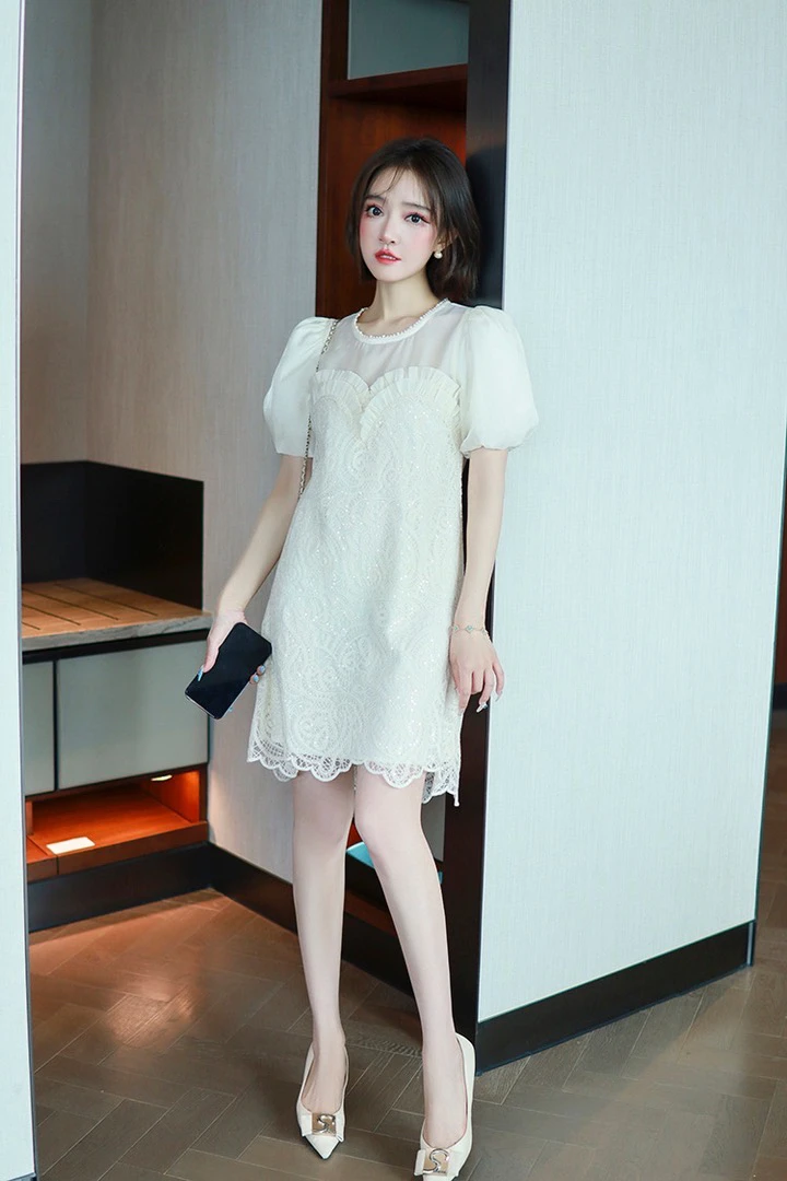 XL刺绣蕾丝钉珠连衣裙LZ258