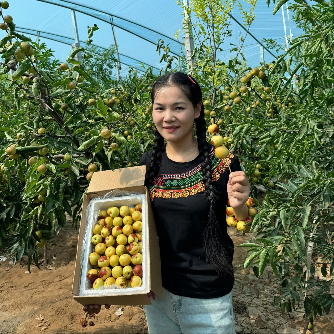 【苏苏专属】陕西大荔冬枣 2/3斤 脆甜皮薄 顺丰包邮