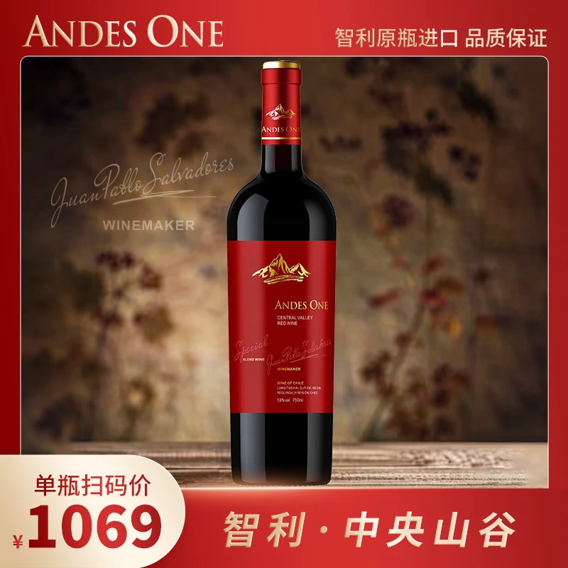 智利原瓶进口红酒原装葡萄酒干红高颜值干型尊享高档瓶高级