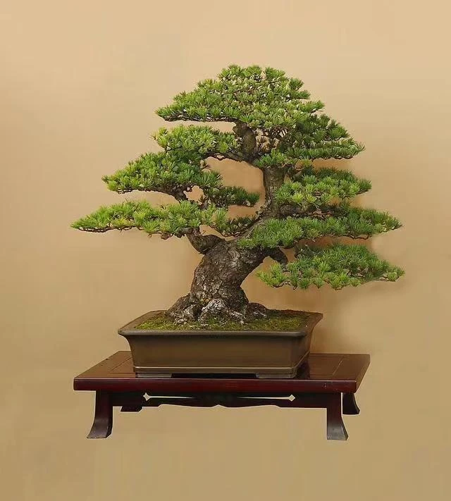 家居摆件造景石砚艺