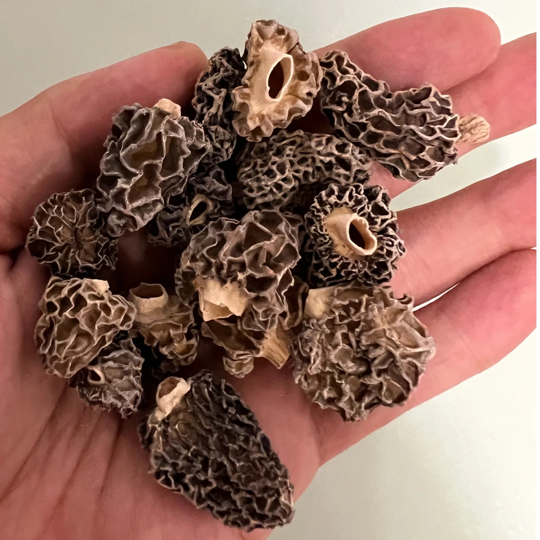 【奶香】 野 天然羊肚菌干羊肚菌 50g-250g 香味浓煲汤焖炒