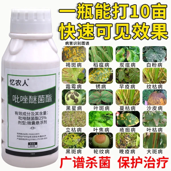 吡唑醚菌酯药水悬浮剂霜霉病叶斑病白粉树脂病杀菌剂农用高效凯润