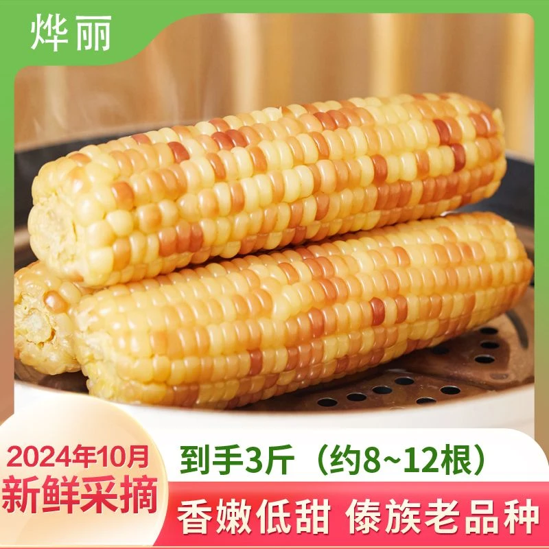 西双版纳头茬小花糯玉米3斤（8~12根）新鲜采摘香糯真空包装营养