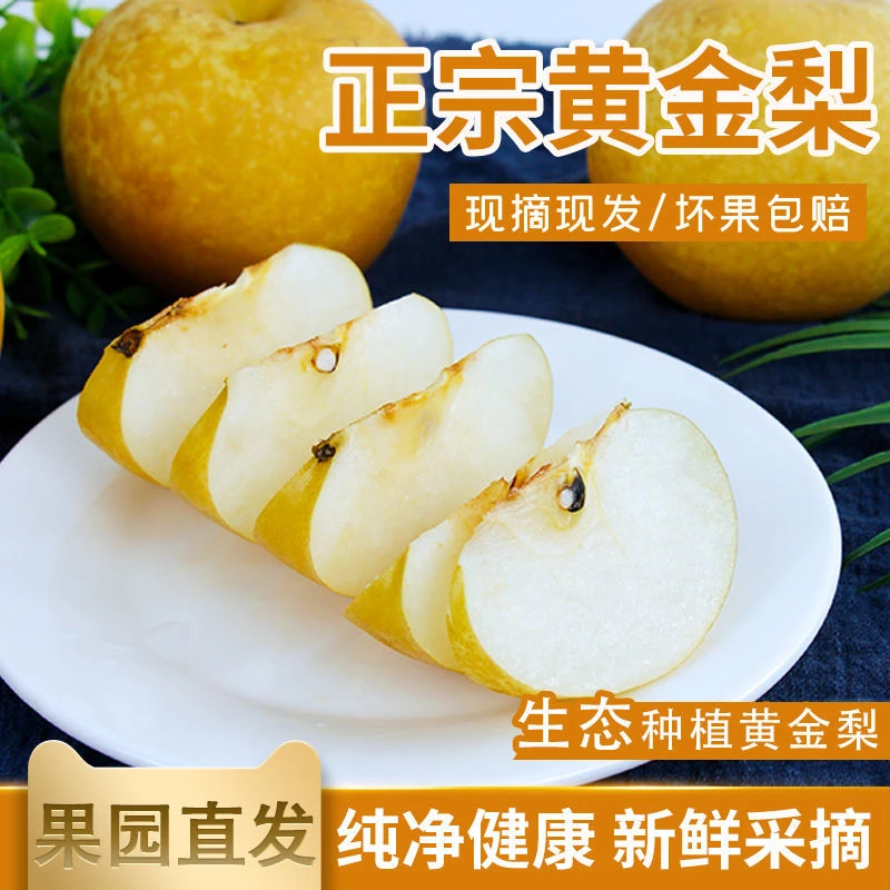 正宗南阳方城博望黄金梨黄皮梨子新鲜水果奶油脆甜多汁梅州柚子