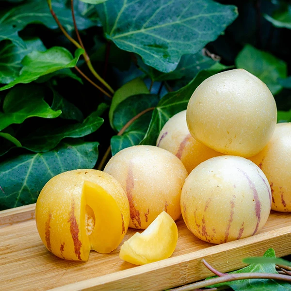 【吃货专属京东包邮】云南石林火山岩人参果树上自然熟产地直发3斤