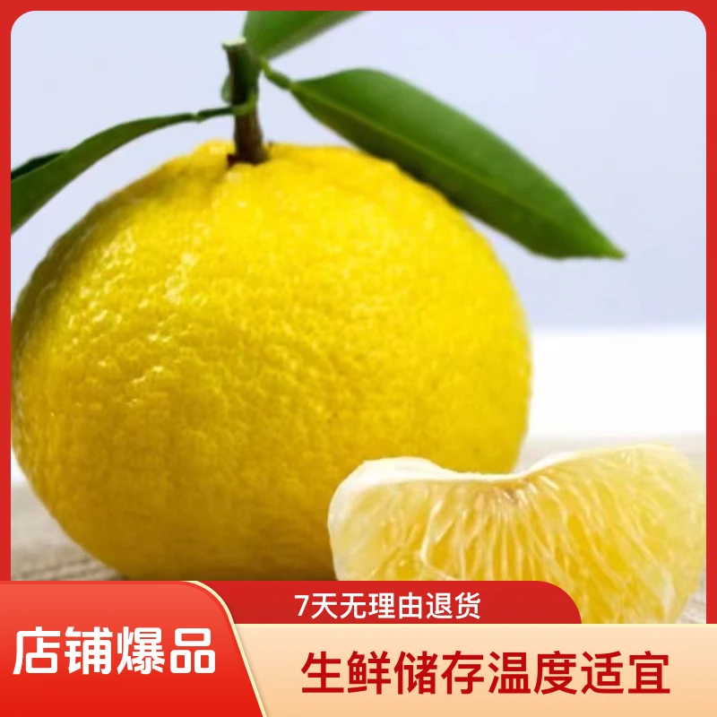 榕江黄金柚村超圣地口感清香饱满甘甜爽口礼品包装盒金柚橘柚适中