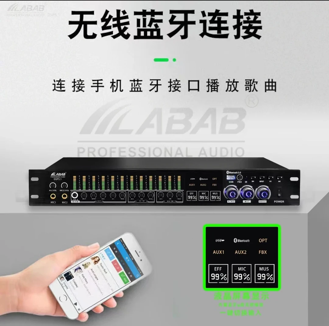 LABAB/蓝博声dsp5.1效果器