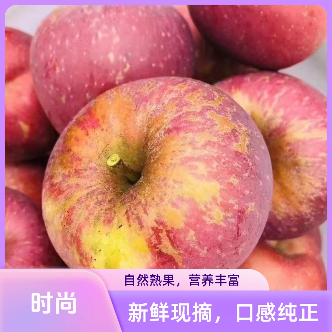 云南昭通甜冰糖心苹果特大果【果王】