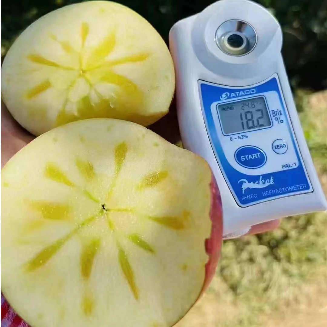云南昭通冰糖心丑苹果大果带箱10斤