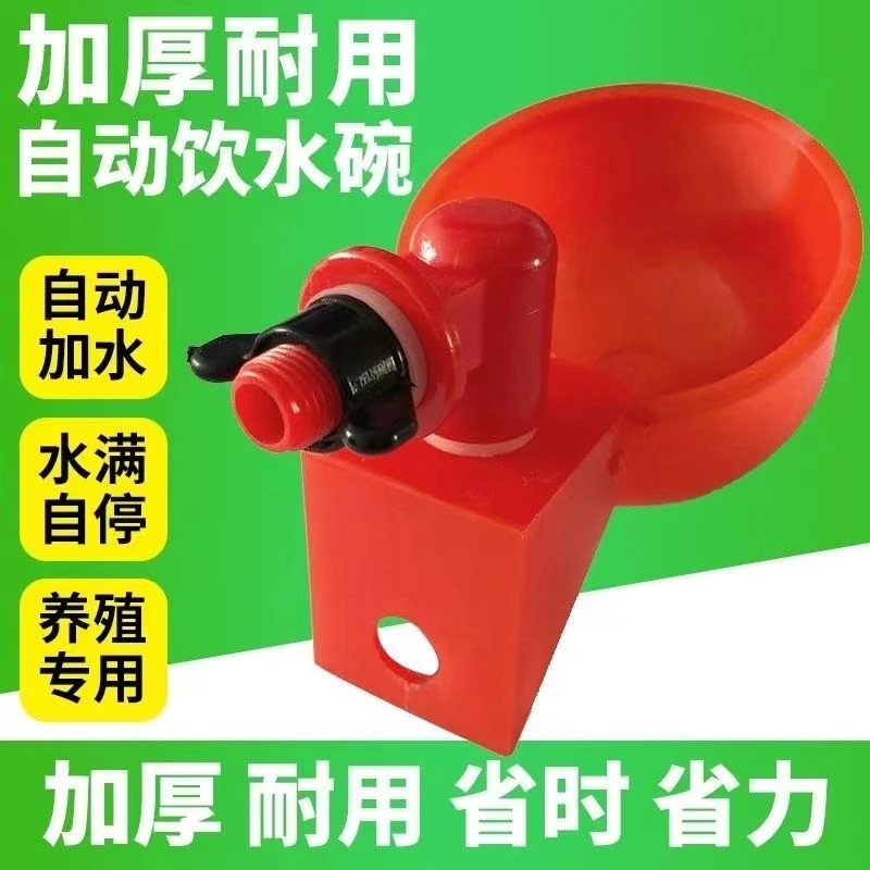 养殖鸡鸭鹅自动饮水碗 饮水器 鸽用自动饮水碗 鹌鹑喝水碗饮水器