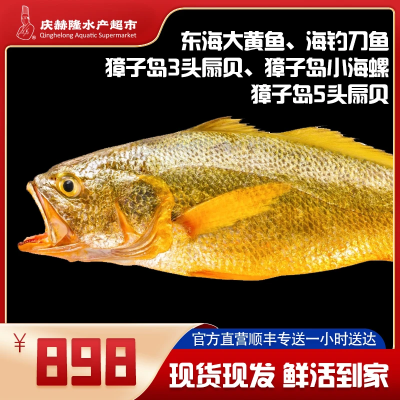 【庆赫隆】东海大黄鱼组合