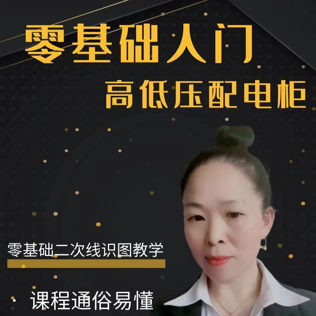 高低压配电柜配电箱原理图接线图识图讲解      视频课程  不是书