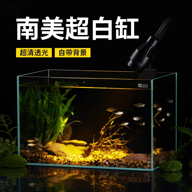 【粉丝专享】超白玻璃鱼缸家用小型南美造景原生溪流缸