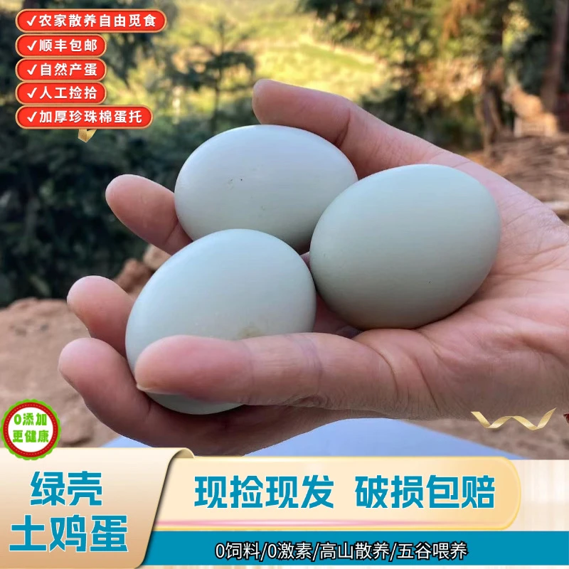［破损包赔］湖南浏阳大围山高山散养土鸡蛋现捡现发60枚