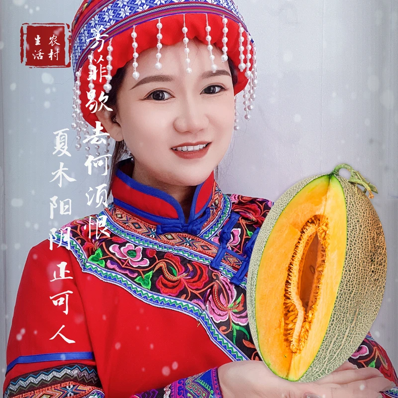 【夏季必买】正宗海南哈密瓜新鲜水果西州蜜瓜25号整箱网纹沙地瓜