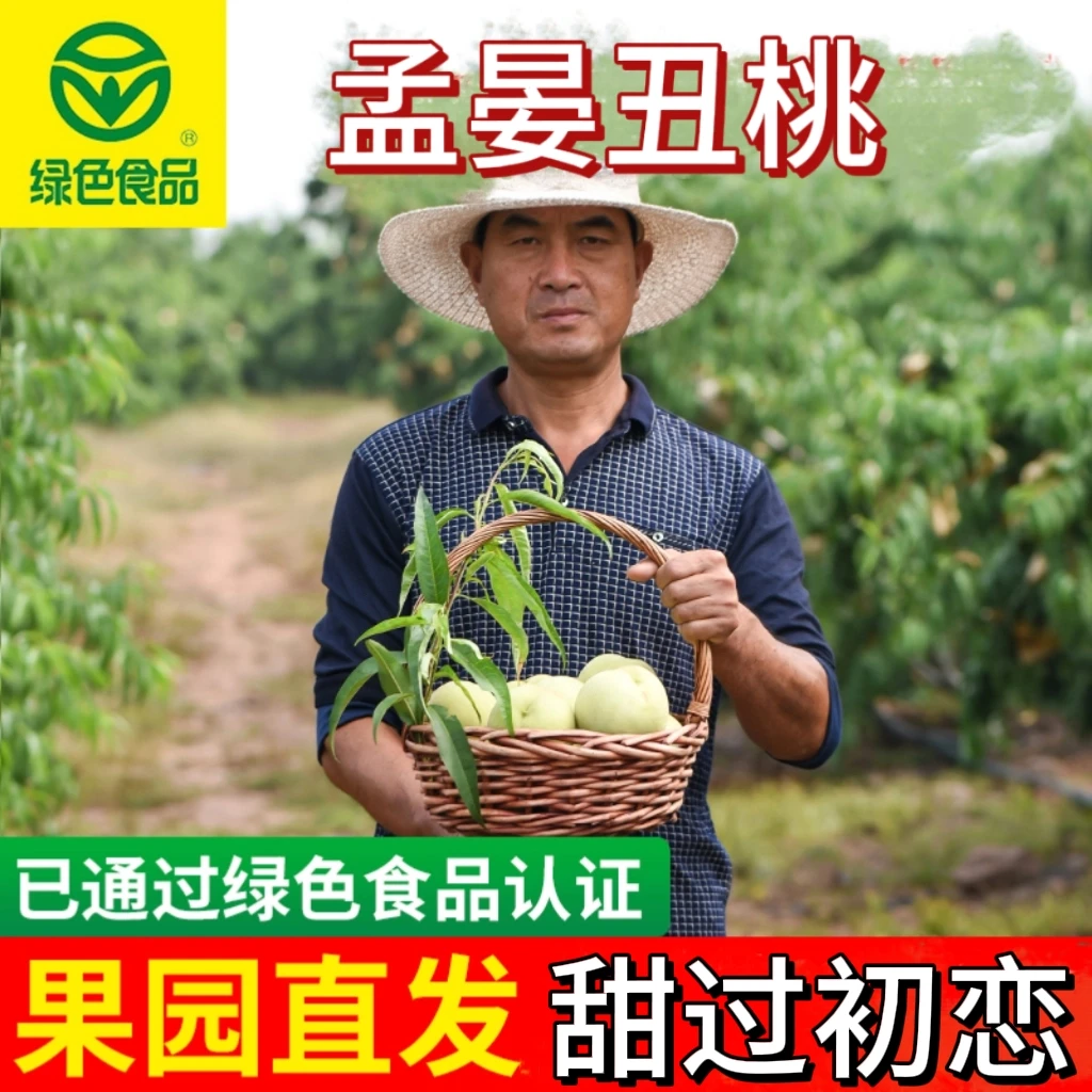 【孟晏丑桃】应季毛桃山东裂口青桃子果园现摘水果新鲜当季整箱