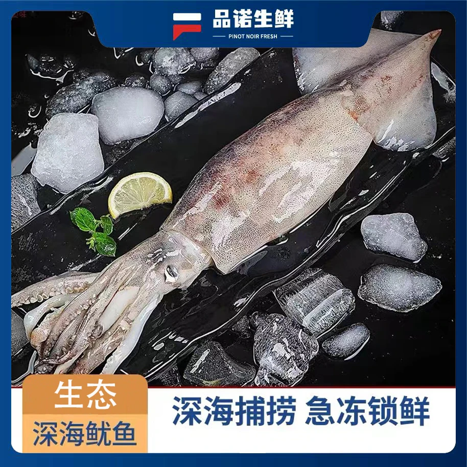 新鲜速冻海捕大鱿鱼 8斤 大鱿鱼连云港发货 带货直播