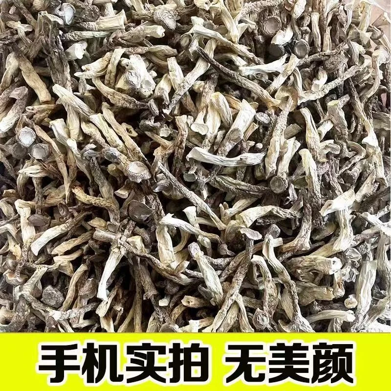 云南高山鹿茸菇-