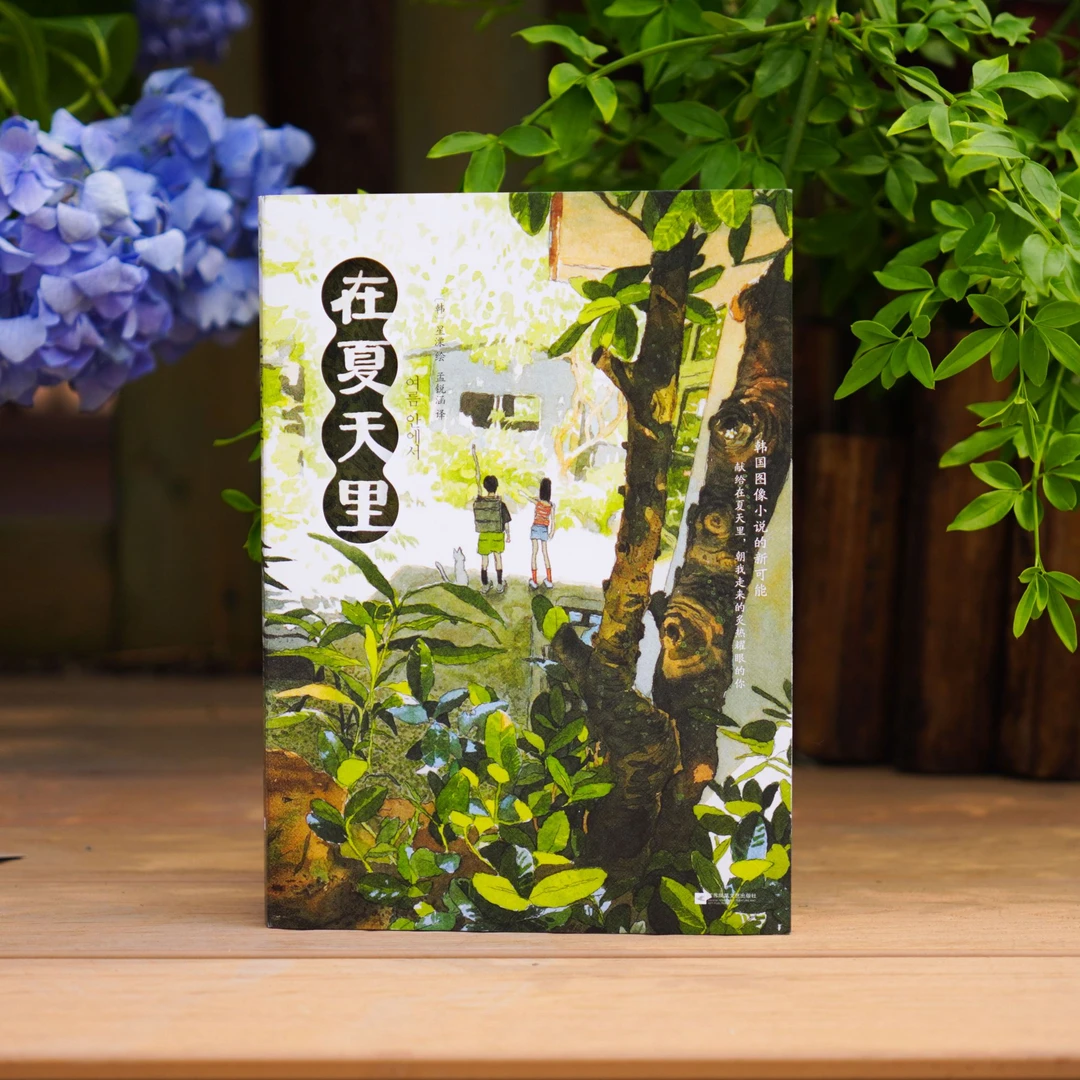 正版印绘签版在夏天里 韩国漫画影像振兴院优秀漫画 温暖治愈唯美
