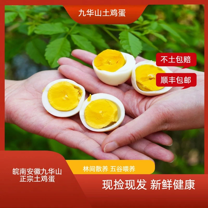 皖南九华山农村散养土鸡蛋正宗农户新鲜土鸡蛋营养高品质土鸡蛋