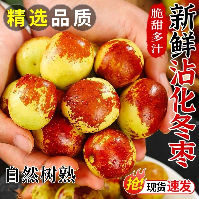 【脆甜冬枣】山东沾化果园现摘新鲜水果应季当季整箱红枣子批发