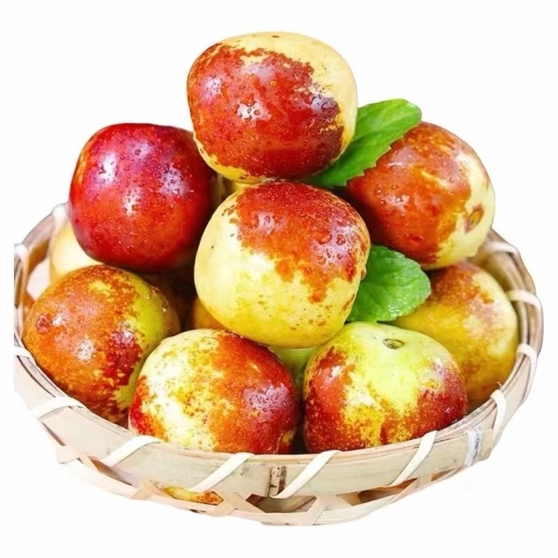 脆甜冬枣尝鲜装一箱