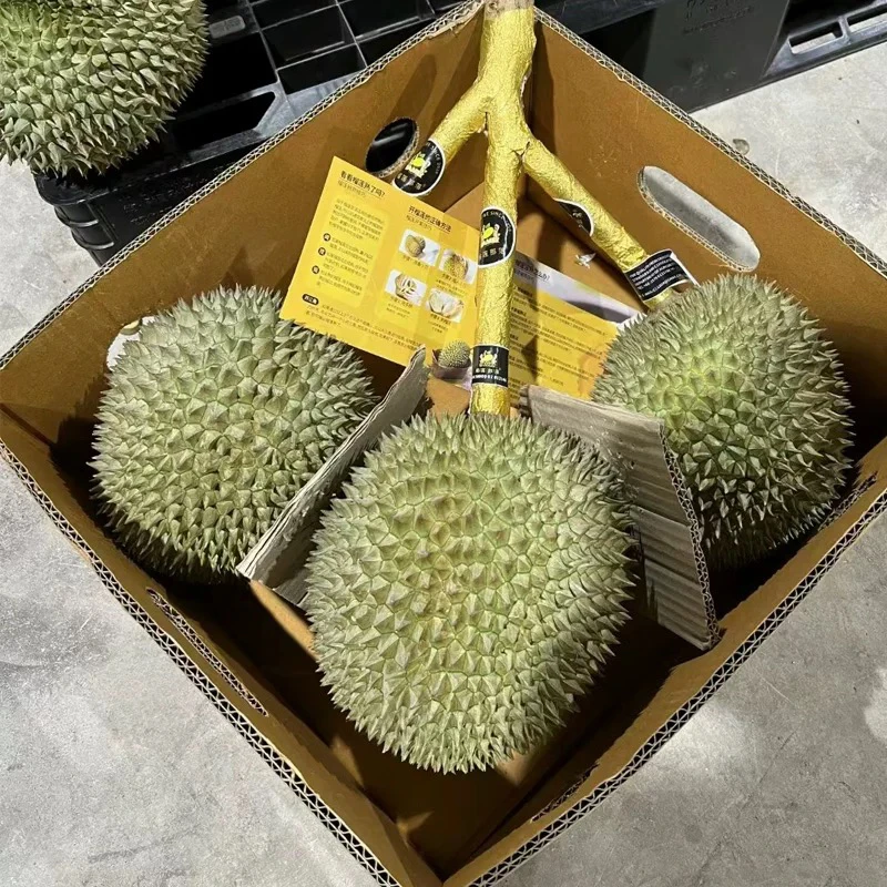 猫山王榴莲1个（3斤左右）