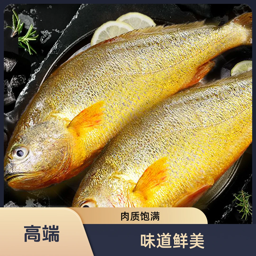 【小月推荐】8-9两/条黄海大黄花鱼 新鲜活速冻独立包装顺丰冷链