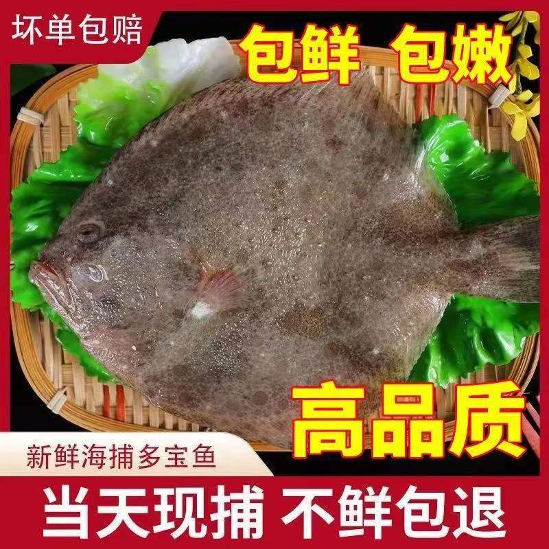 【今日福利】大5斤多宝鱼10条 新鲜船冻比目鱼200-300g/条 顺丰冷链