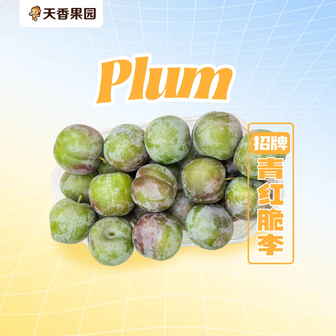 【湖北小时代】青红脆李350g-700g