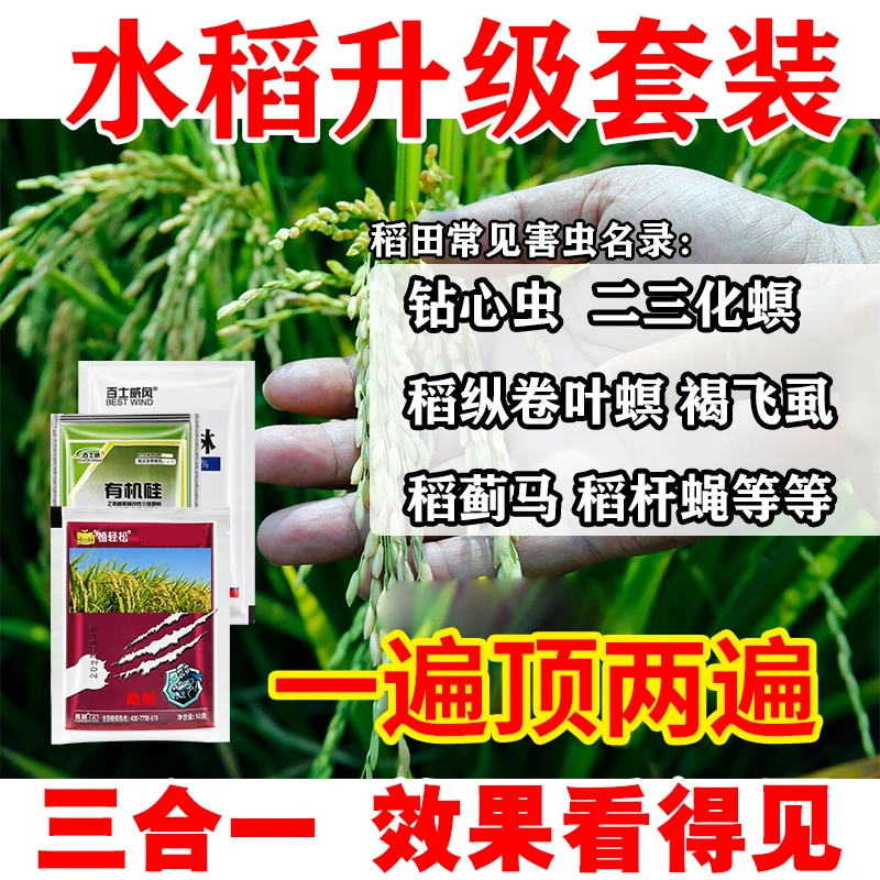 【强势升级】水稻丛卷叶螟有机硅钻心虫褐飞虱稻蓟马蚜虫白粉虱助剂